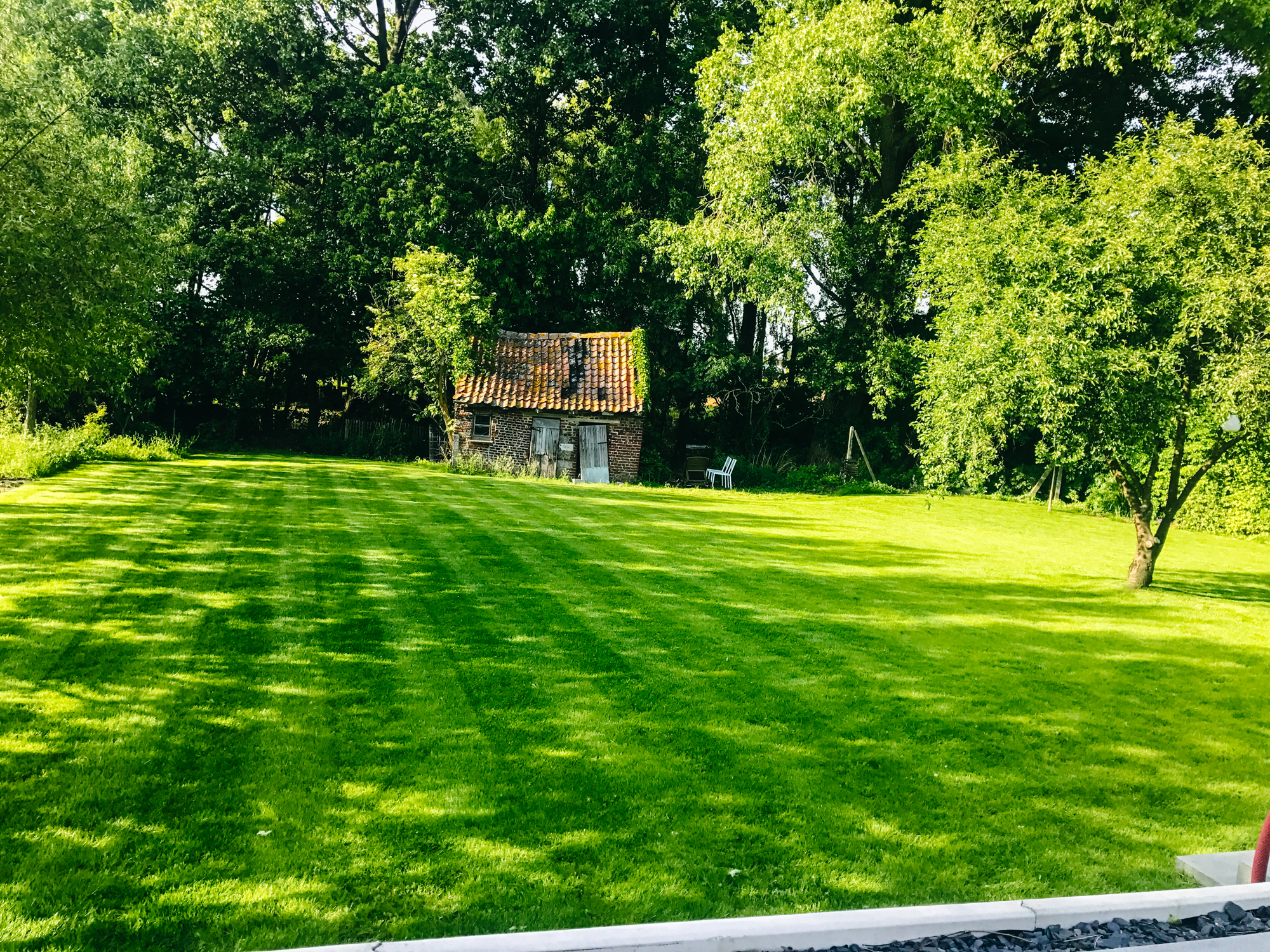 onderhoud tuin