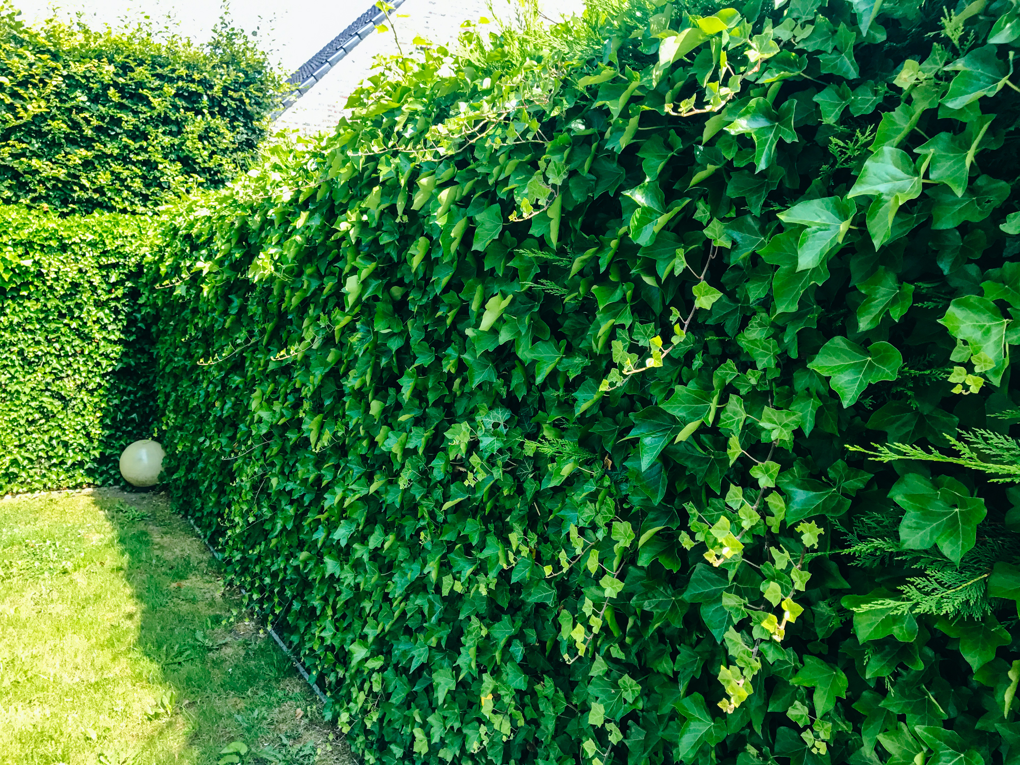 TUINONDERHOUD VOOR GROTE EN KLEINE TUINEN