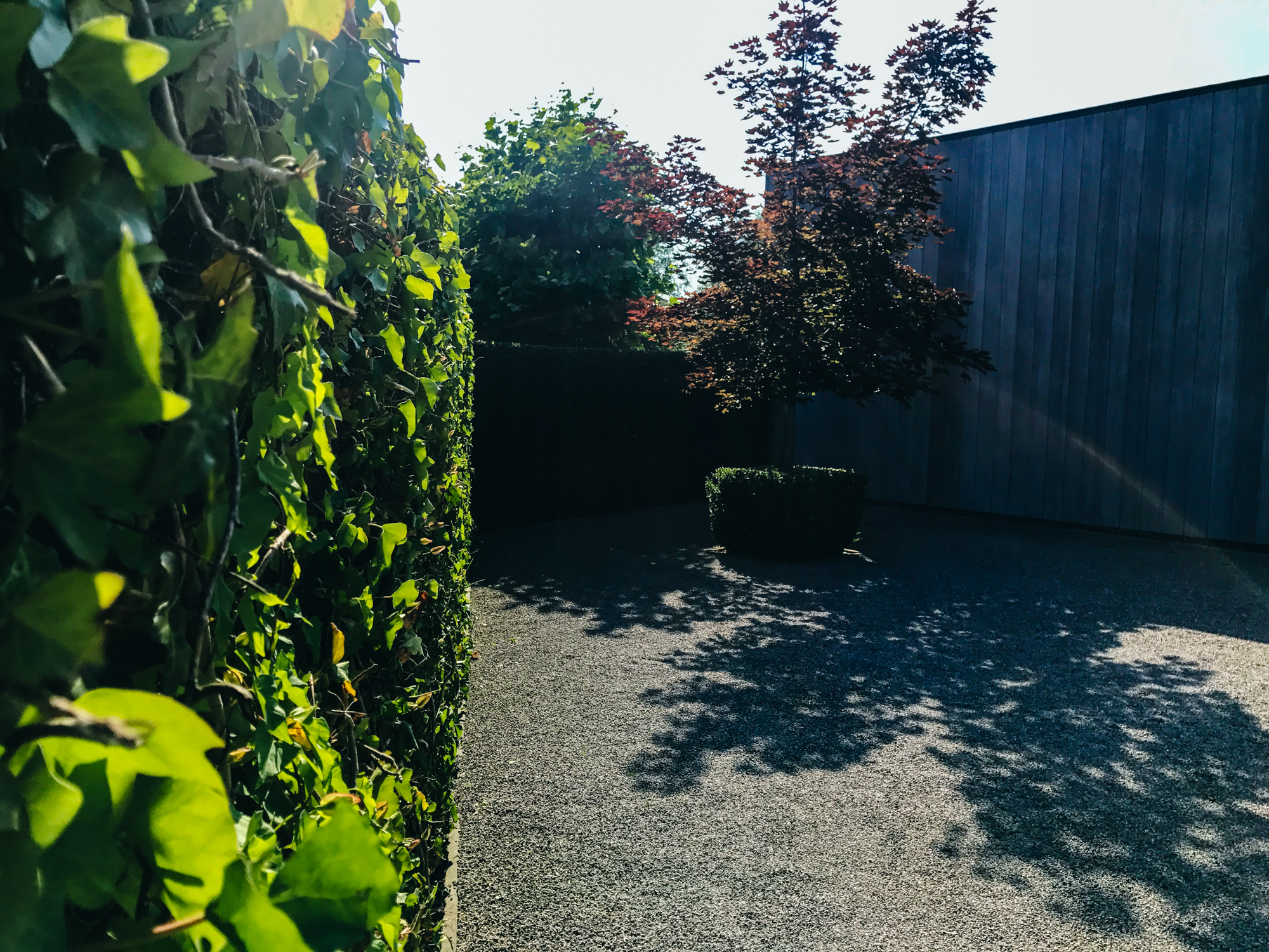 Strakke tuinen in moderne architectuur