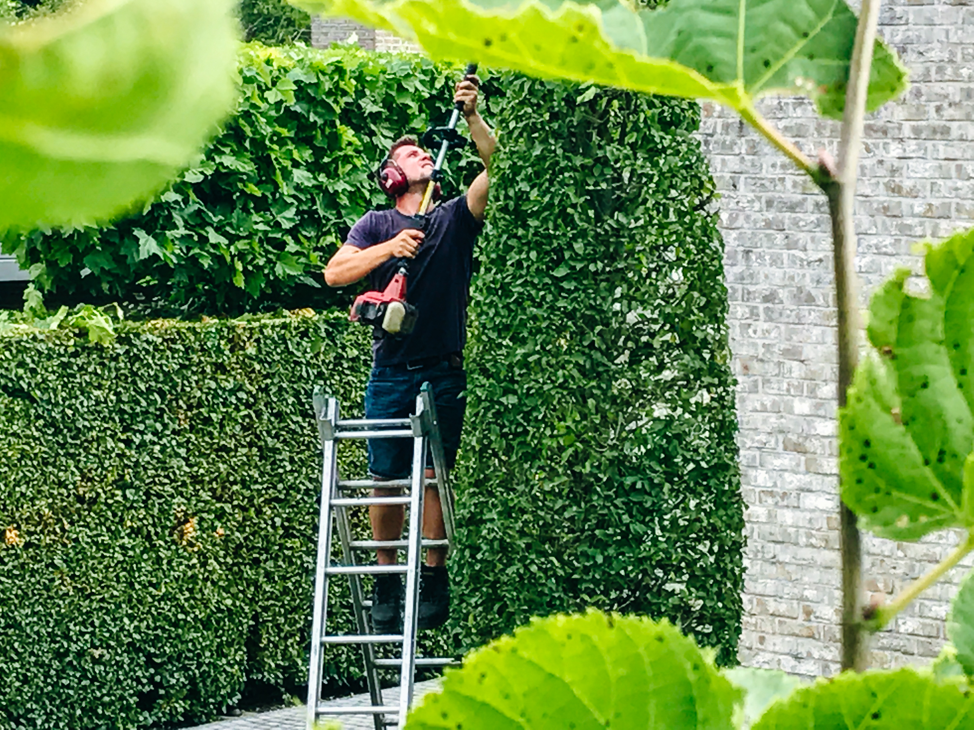 WIJ ONDERHOUDEN UW TUIN U GENIET